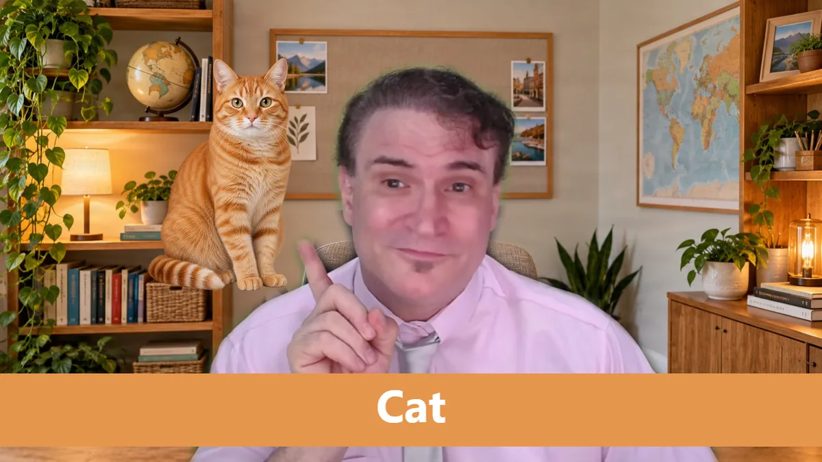 The same teacher with TeacherTeacher Cam: a classroom background, a cat prop and a Cat word banner