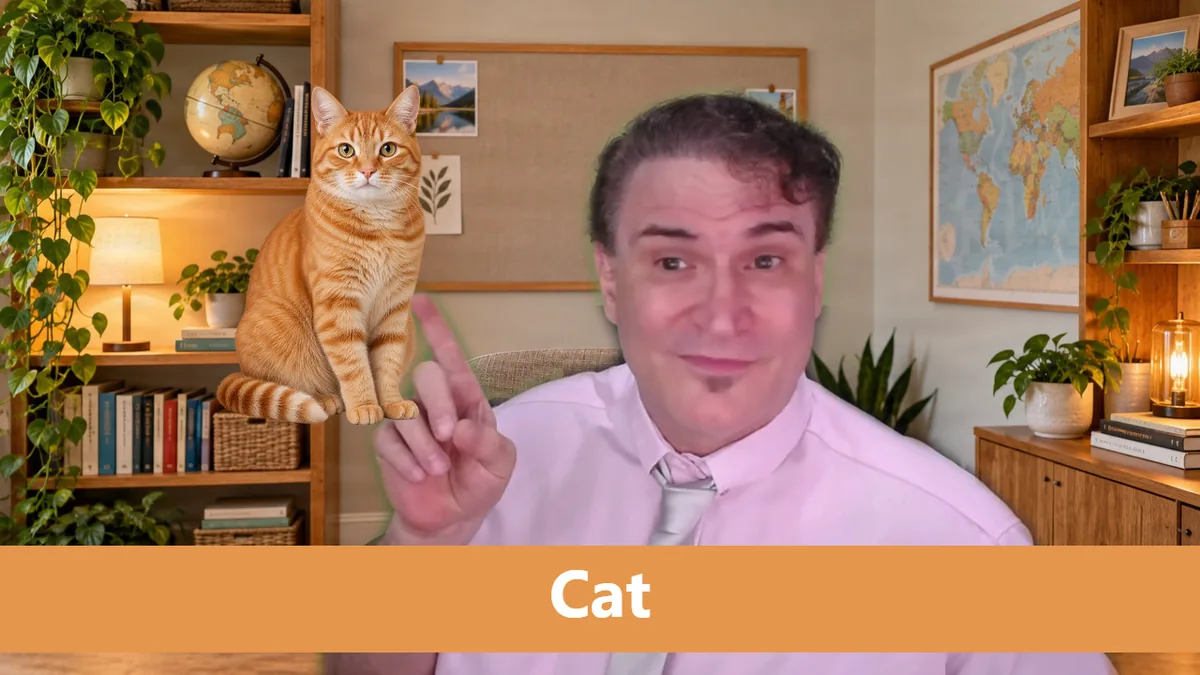 A real TeacherTeacher Cam snapshot: a teacher pointing to a cat prop while teaching the word cat